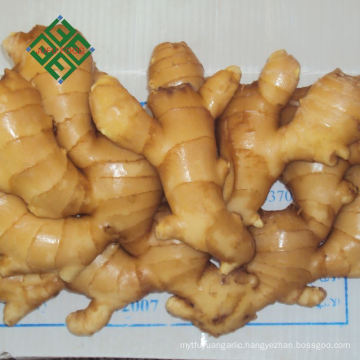 wholesale ginger price Big fresh Ginger